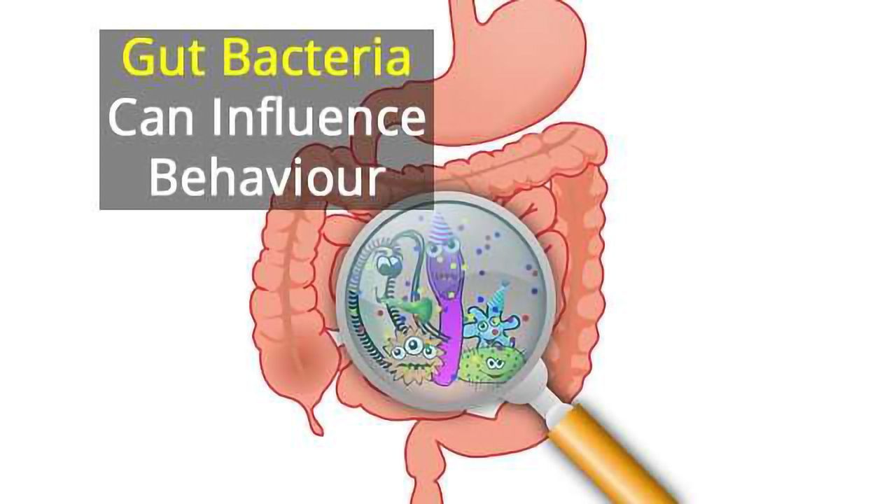 Can Microbes Manipulate Our Minds?