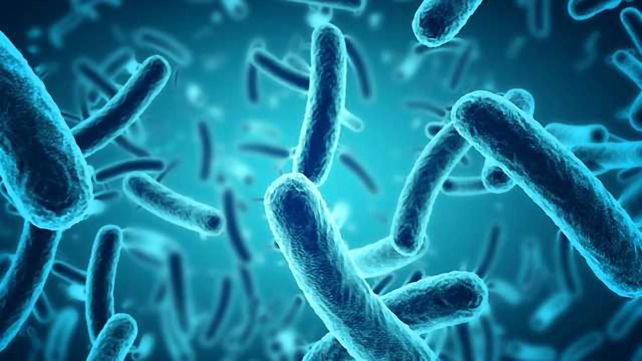 Oppilotech Awarded Innovate UK Grant to Expand Model of Outer Wall of Bacteria