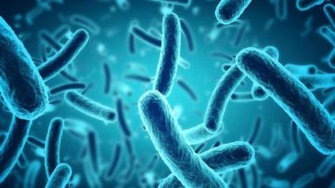 Oppilotech Awarded Innovate UK Grant to Expand Model of Outer Wall of Bacteria