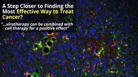 Size Matters When Fighting Cancer