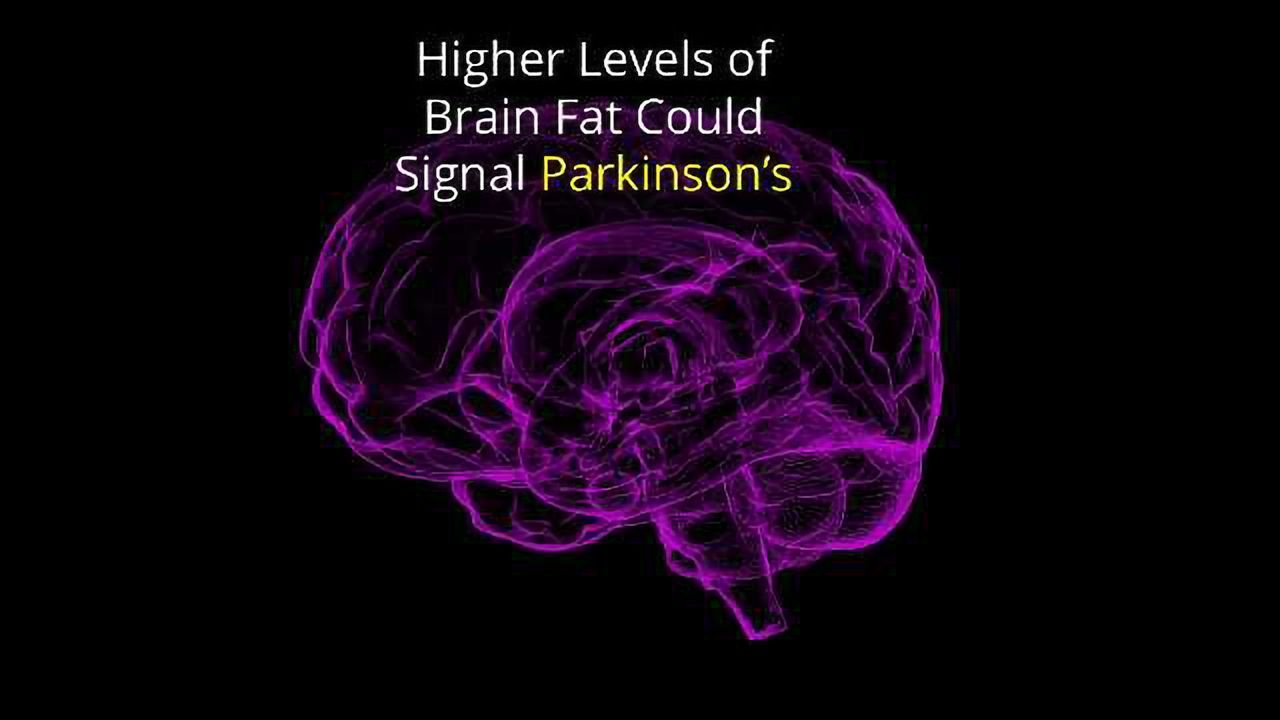 A Fatty Brain Could Be a Sign of Parkinson's
