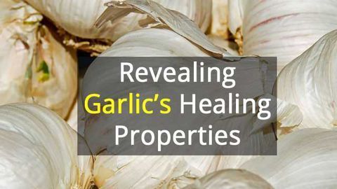 The Complicated Biology of Garlic