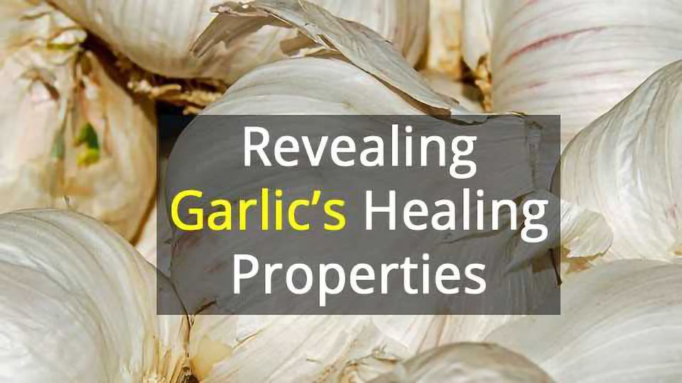 The Complicated Biology of Garlic Technology Networks