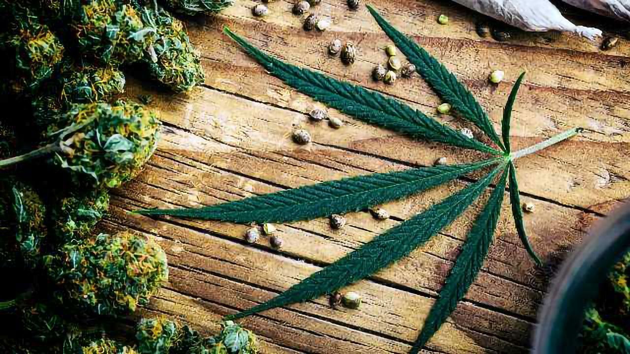 Ultrasound-assisted Extraction of Cannabinoids: Double the Yield in Half the Time