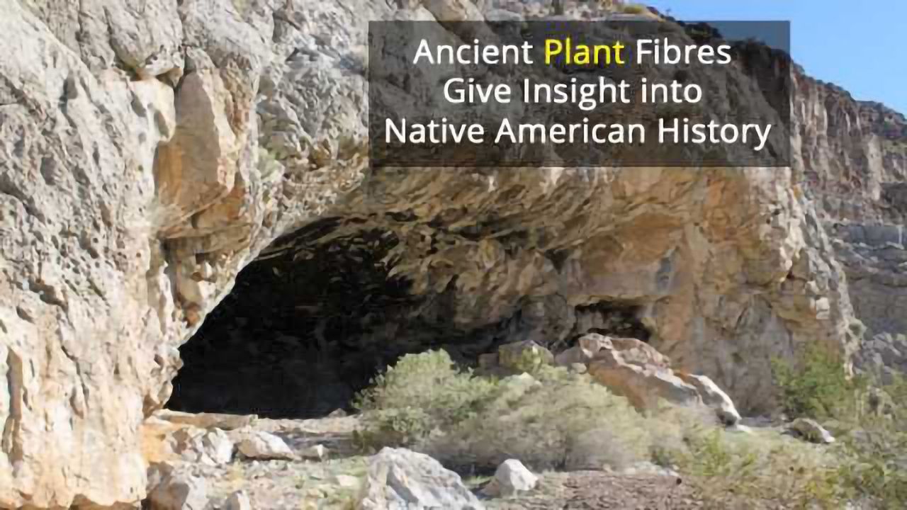 Quids Answer Ancient Native American DNA Questions