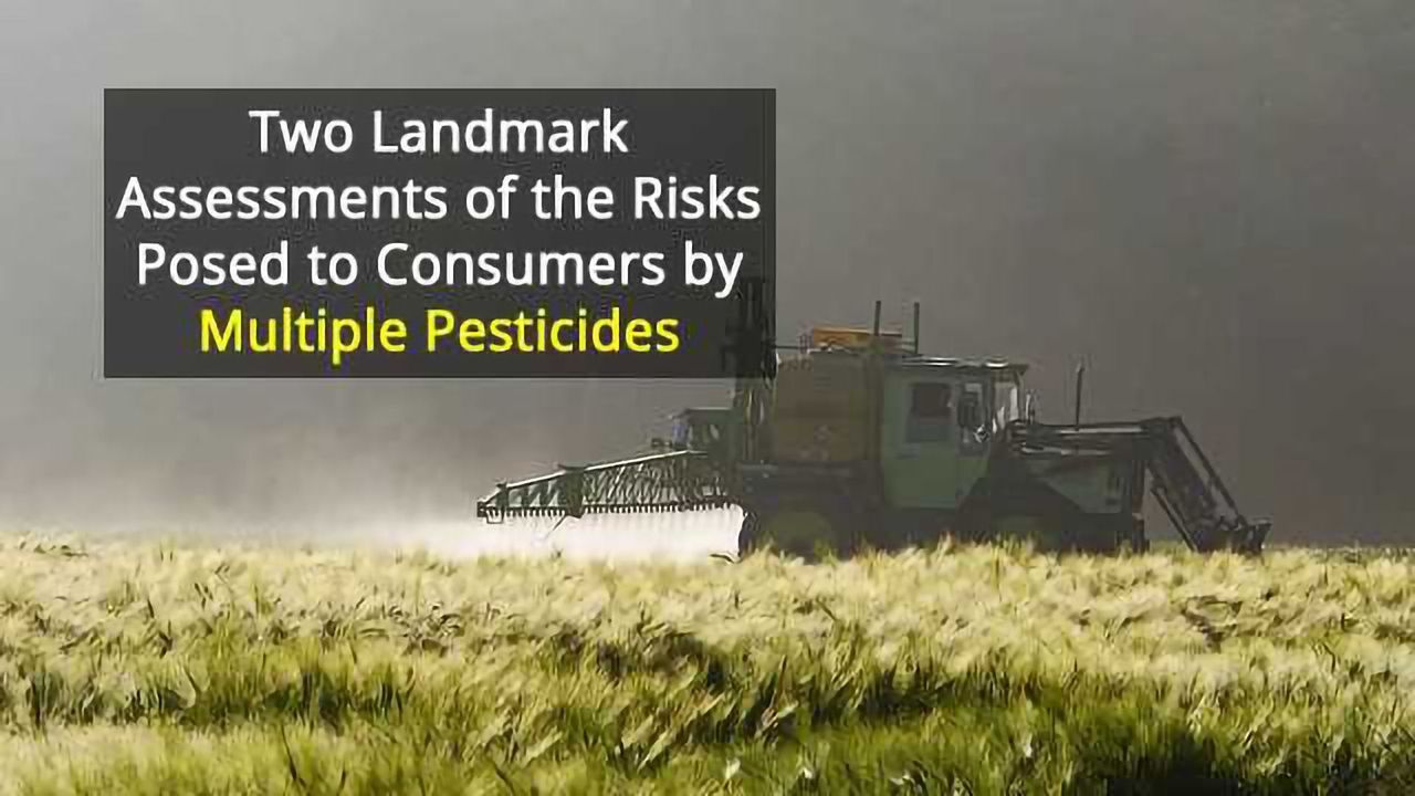 Assessing Pesticide Risk in Food