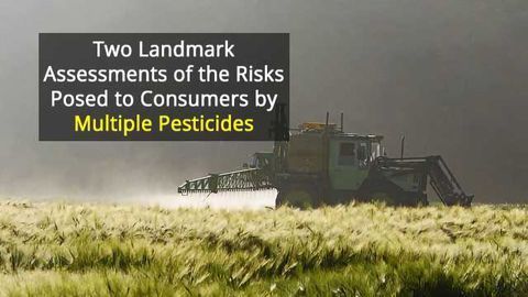 Assessing Pesticide Risk in Food