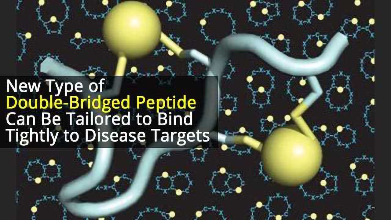 Double-bridged Peptide Tailored to Bind Tightly to Disease Targets of Interest