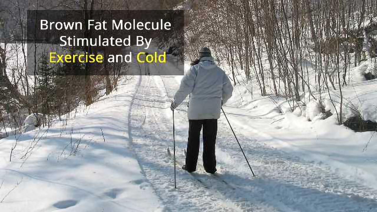 Shivering Burns Fat Just Like Exercise