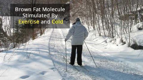 Shivering Burns Fat Just Like Exercise
