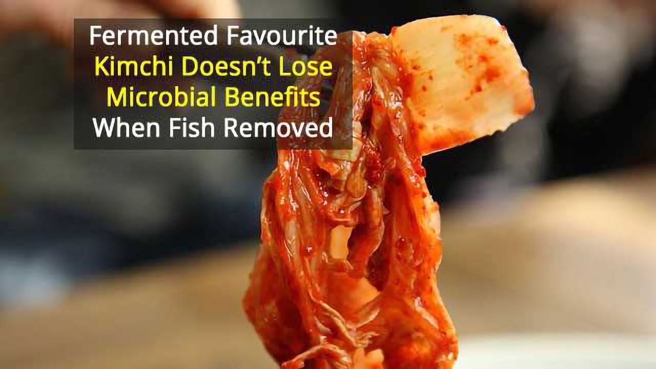 Vegan and Traditional Kimchi Have Same "Probiotic" Microbes