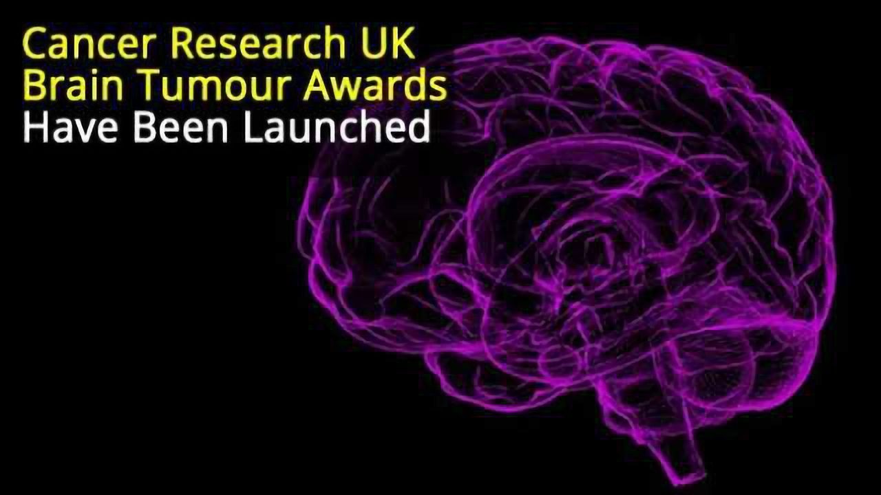 £18 M Fund to Tackle Six Biggest Themes in Brain Tumor Research