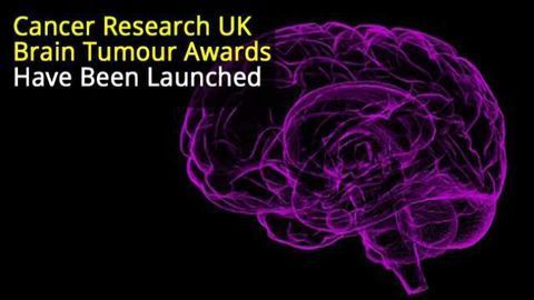 £18 M Fund to Tackle Six Biggest Themes in Brain Tumor Research