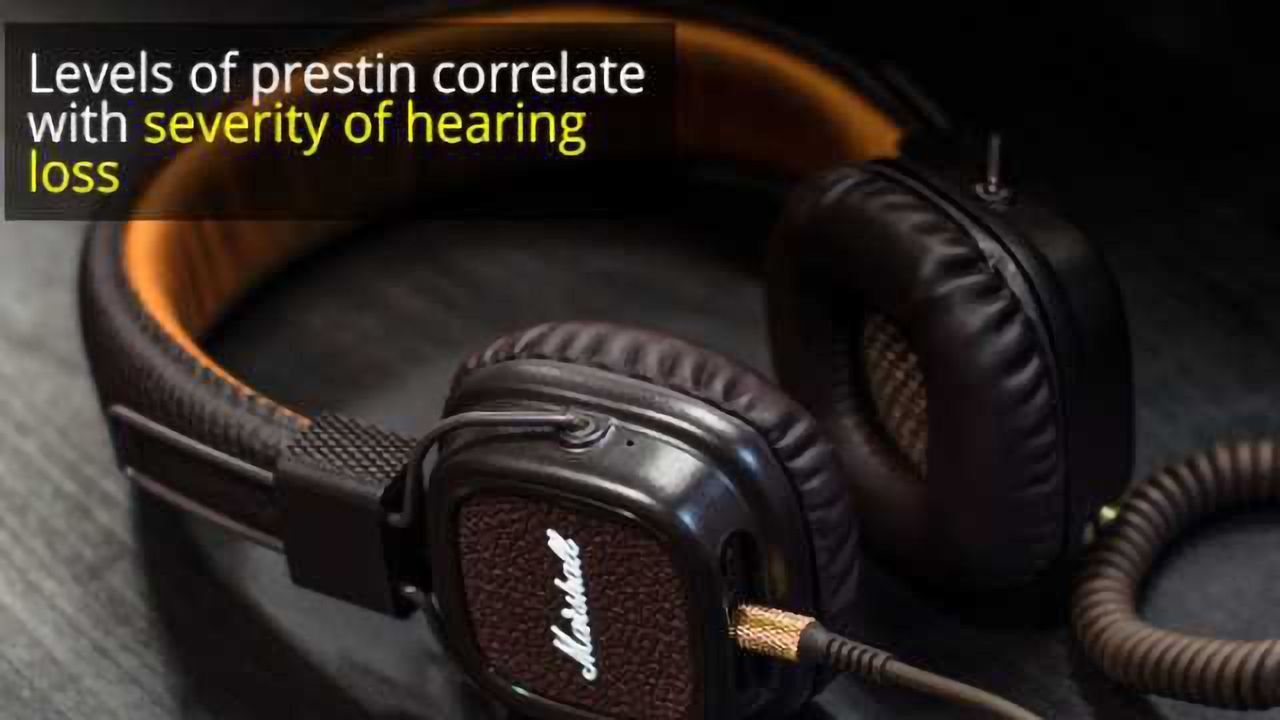 Newly Discovered Biomarker Could Help Diagnose Hearing Loss Earlier