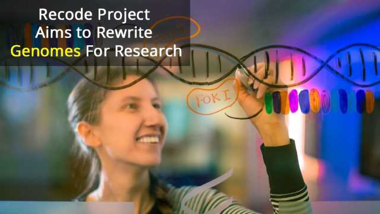 TALEN Gene Editing to Make Human Cell Lines Virus-Proof