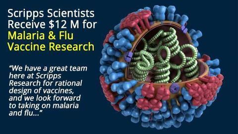 $12 M Grant Supports Flu and Malaria Vaccine Development