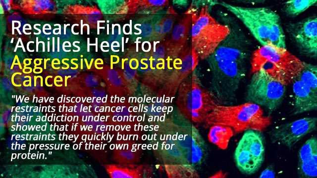 Drug Makes Prostate Cancer Cells Self-Destruct