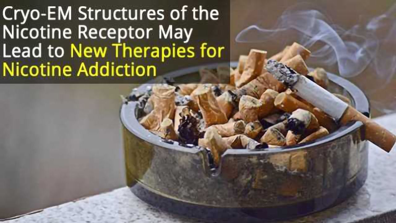 Nicotine Receptor Blueprints May Help Design Drugs for Addiction
