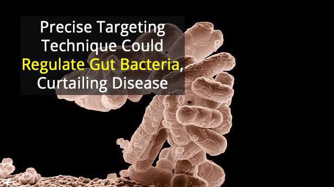 Targeting Gut Bacteria to Reduce Disease