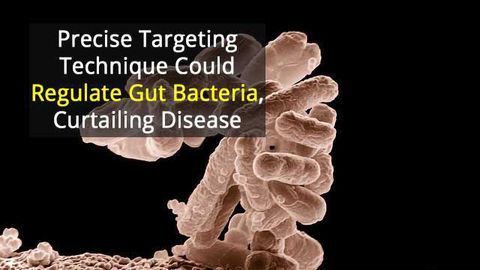 Targeting Gut Bacteria to Reduce Disease