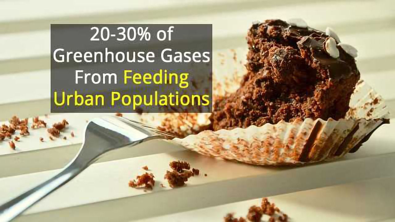 Tackling Food Consumption and Waste Could Reduce Carbon Emissions Too