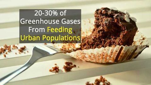 Tackling Food Consumption and Waste Could Reduce Carbon Emissions Too