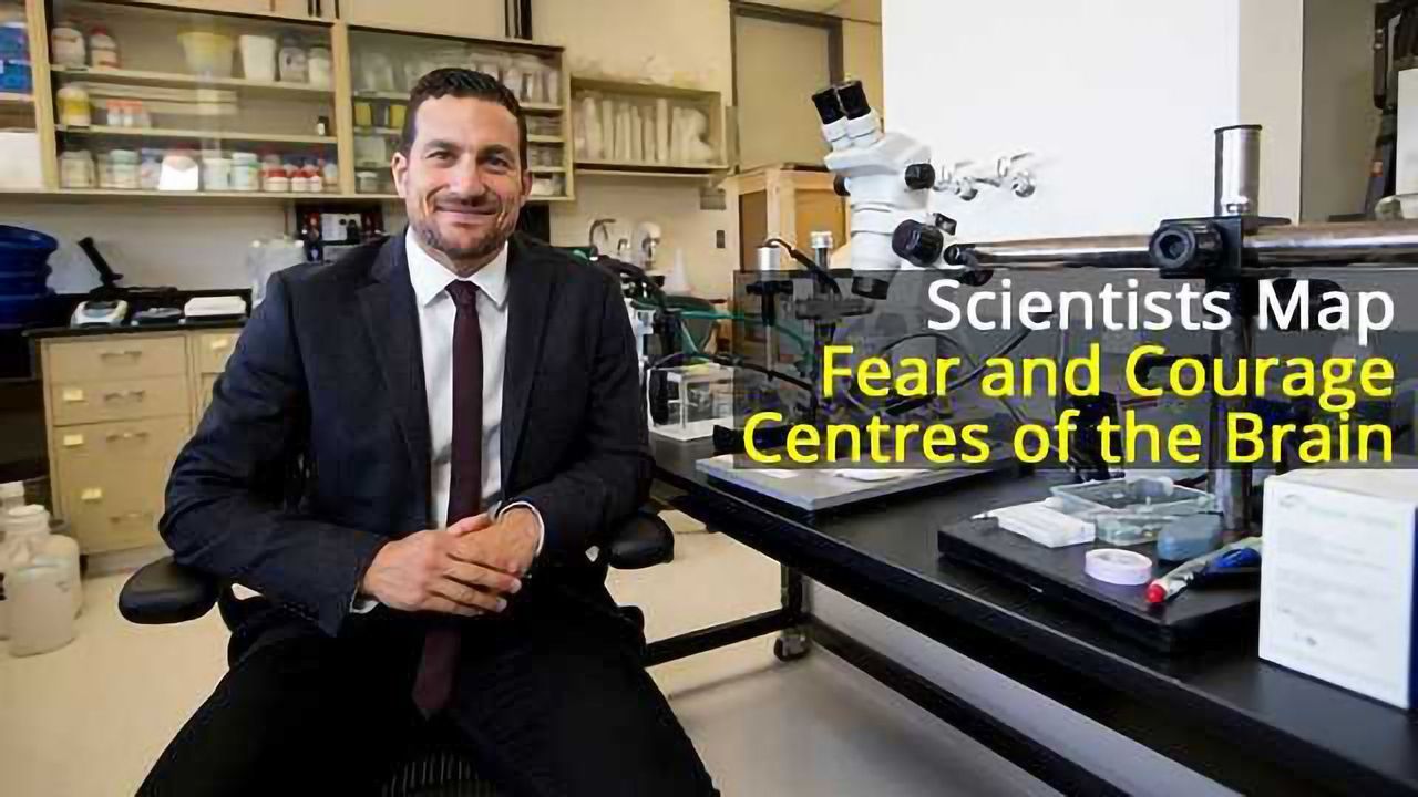 Fear and Courage Centres Mapped in the Brain