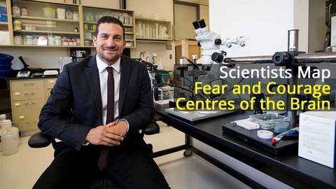Fear and Courage Centres Mapped in the Brain