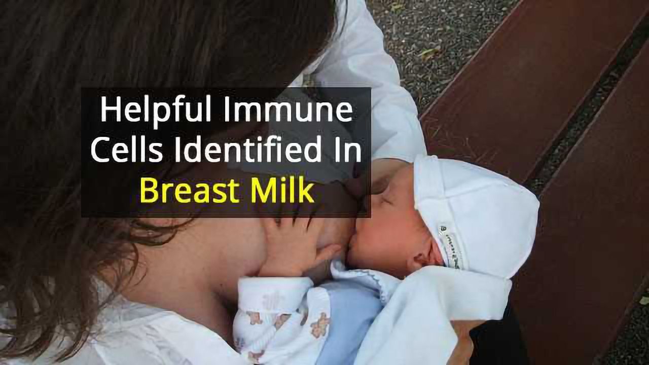 SWAT Team of Immune Cells Found in Mother’s Milk