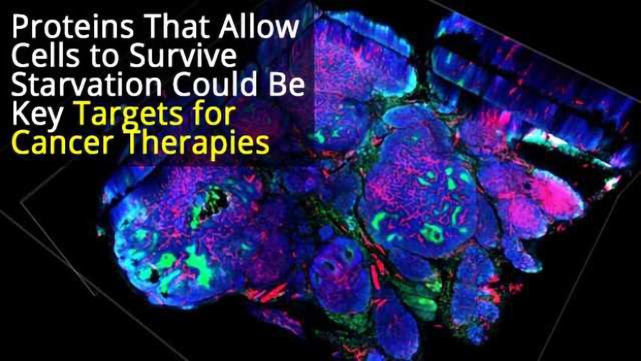 New Approach to Starve p53 Deficient Tumors