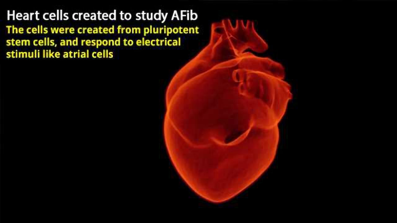 Atrial Cells Created from Stem Cells