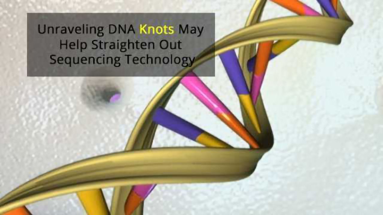Untying the Knots in DNA