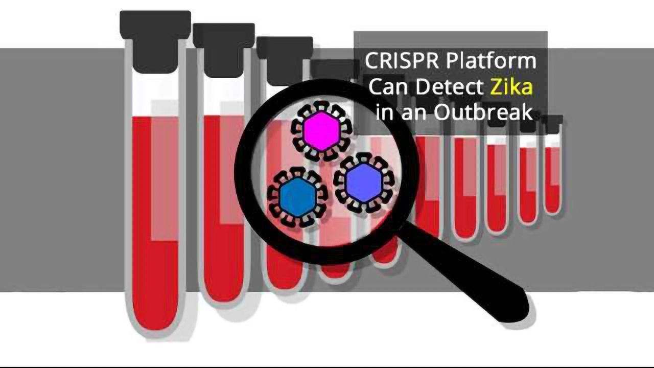 CRISPR Diagnostics Platform Made Ready for Viral Outbreaks