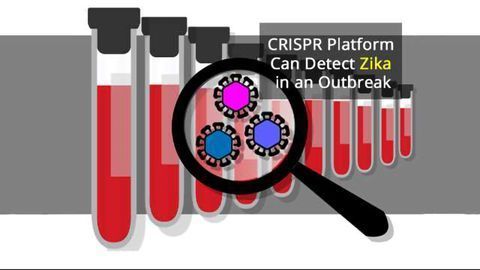 CRISPR Diagnostics Platform Made Ready for Viral Outbreaks
