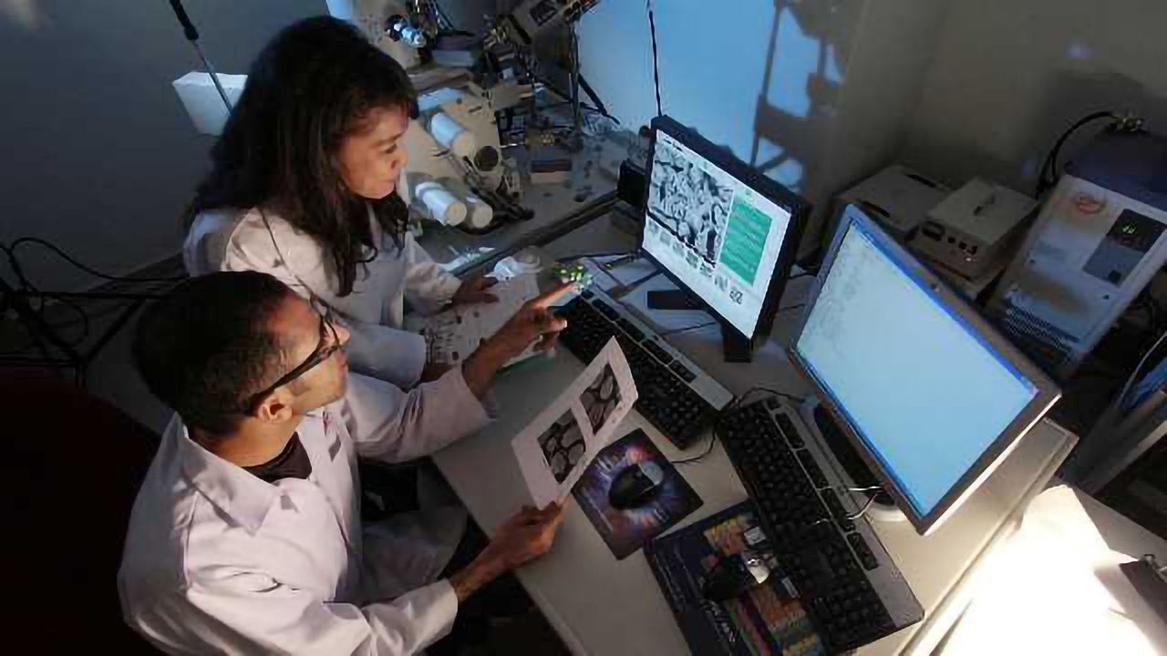 Overcoming Challenges in Clinical Microbiology Labs with Informatics and Automation