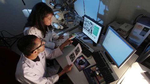 Overcoming Challenges in Clinical Microbiology Labs with Informatics and Automation