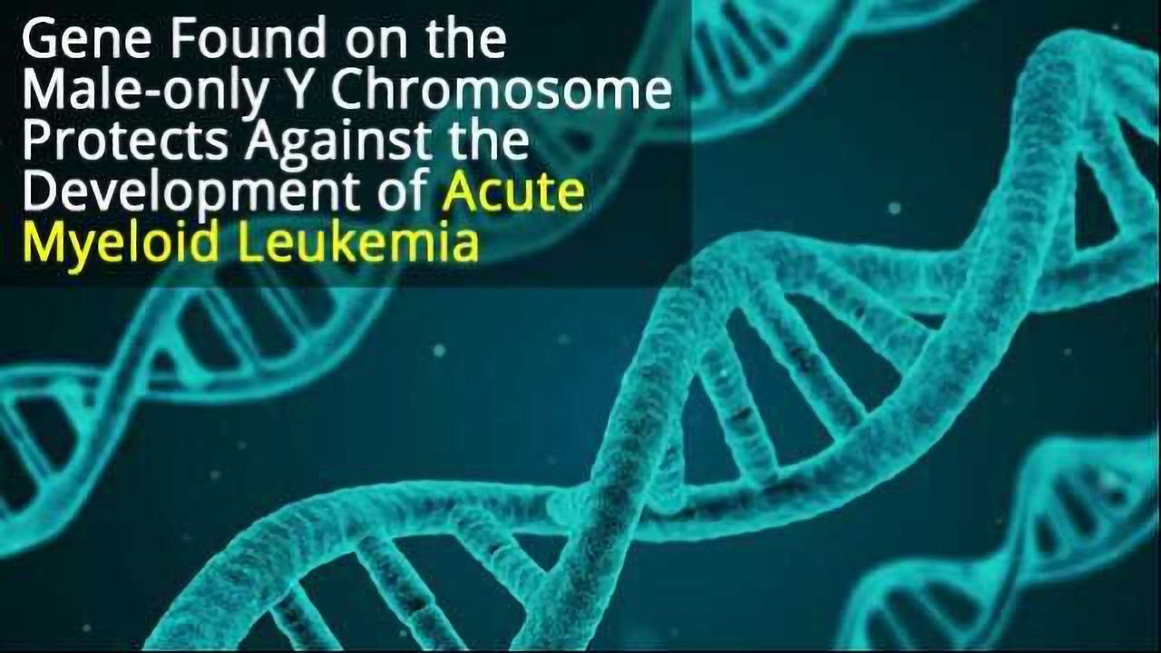 Y Chromosome Gene Protects Men Against Aggressive Leukemia