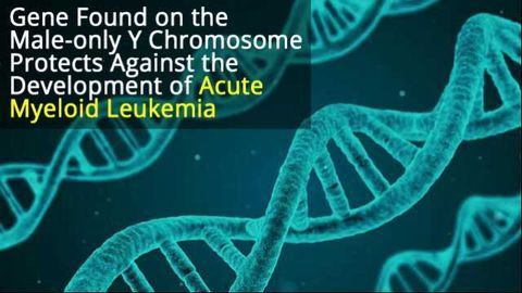 Y Chromosome Gene Protects Men Against Aggressive Leukemia