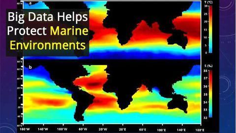 Deriving Water Quality Criteria of Metals to Protect Marine Ecosystems