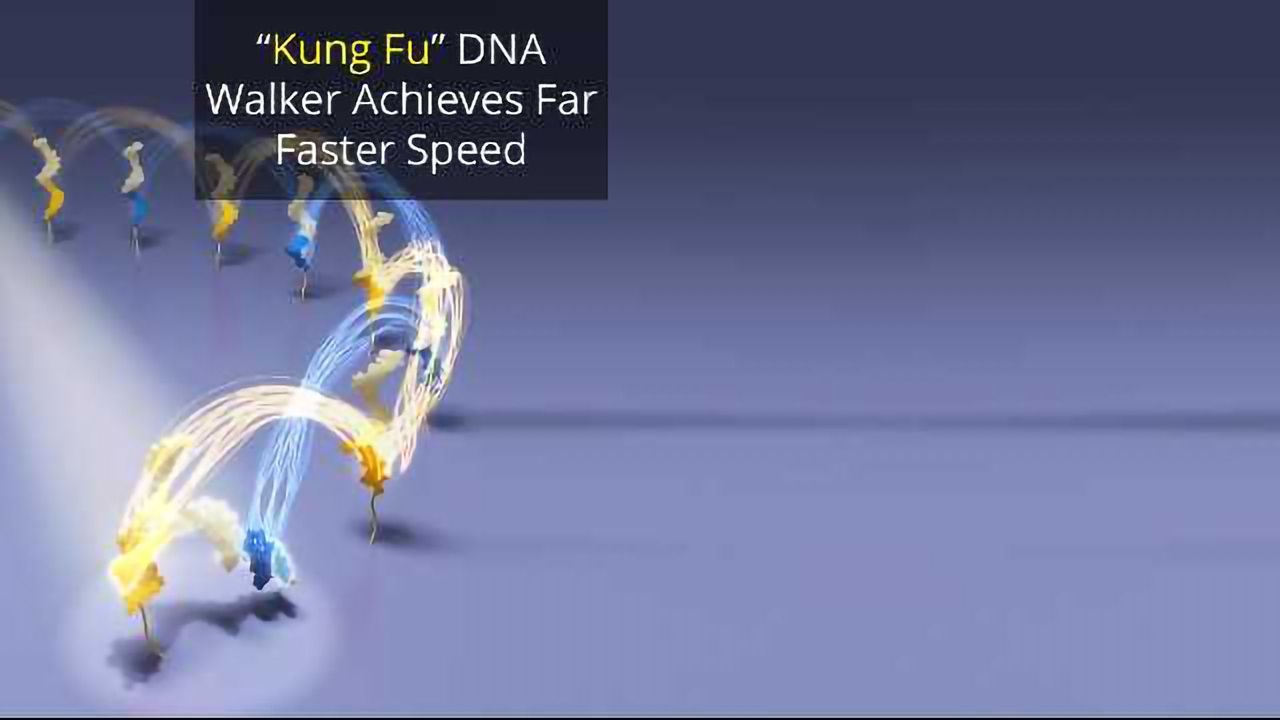 DNA Machine Cartwheels and Carries Cargo