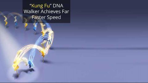 DNA Machine Cartwheels and Carries Cargo