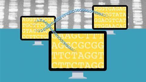 Secret Sharing Keeps GWAS Data Secure
