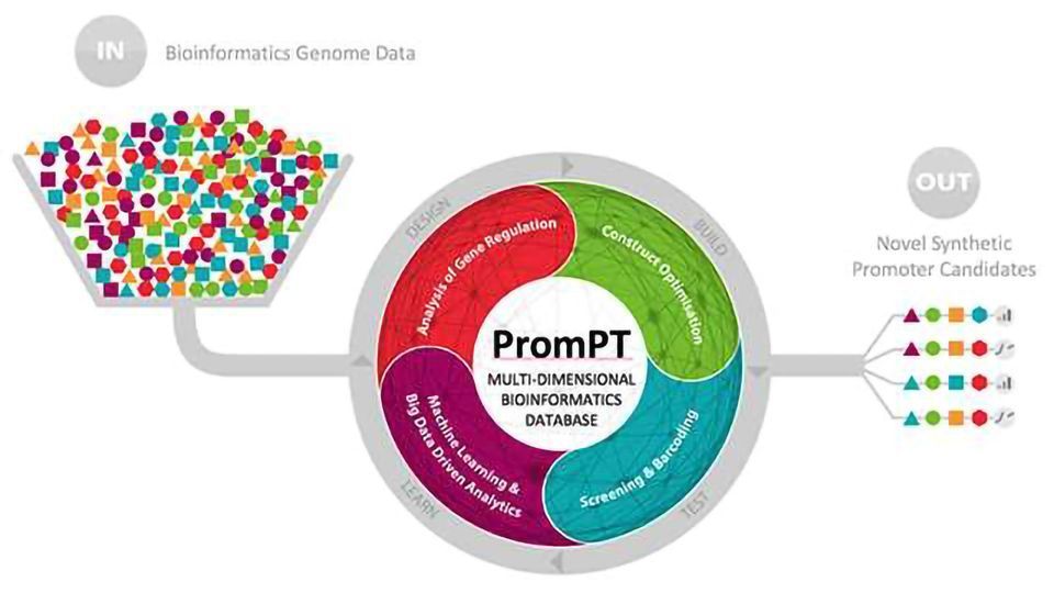 Synpromics Awarded £1.9m Grant from Scottish Enterprise content piece image