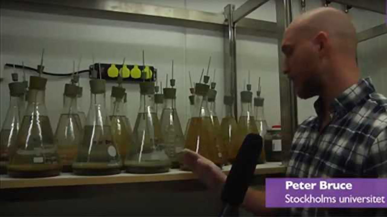 How to Deal With the Baltic Sea's Contamination