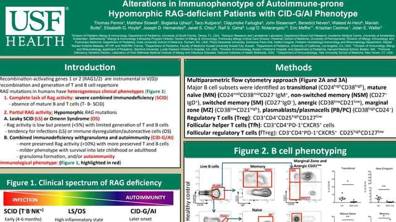 Alterations in Immunophenotype of Autoimmune-prone Hypomorphic RAG-deficient Patients with CID-G/AI Phenotype