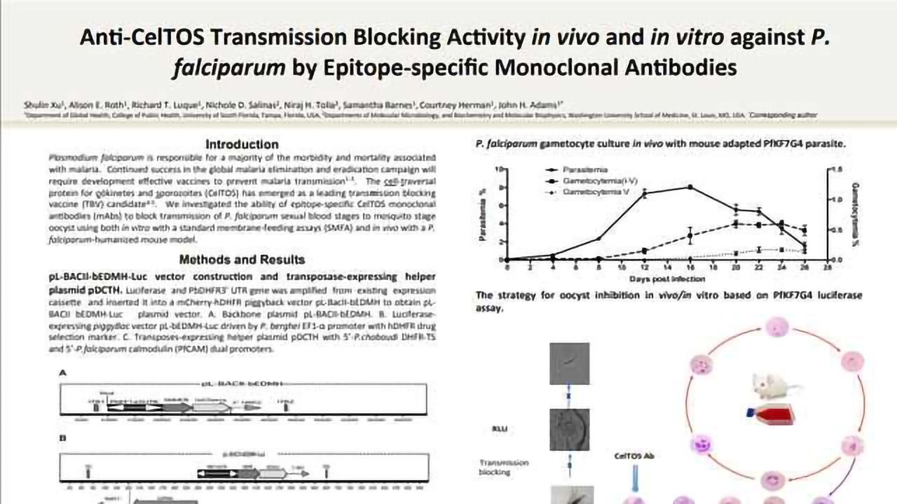 Anti-CelTOS Transmission Blocking Activity in vivo and in vitro against P. falciparum by Epitope-specific Monoclonal Antibodies