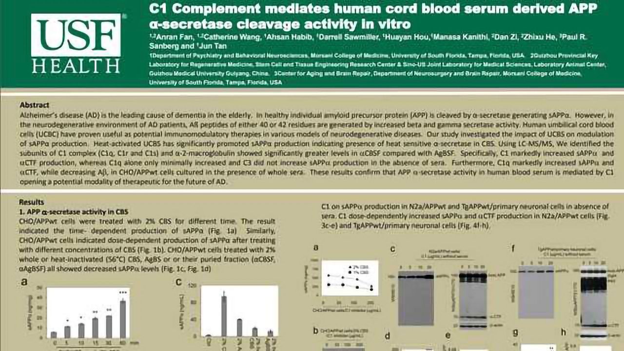 C1 Complement mediates human cord blood serum derived APP α-secretase cleavage activity in vitro