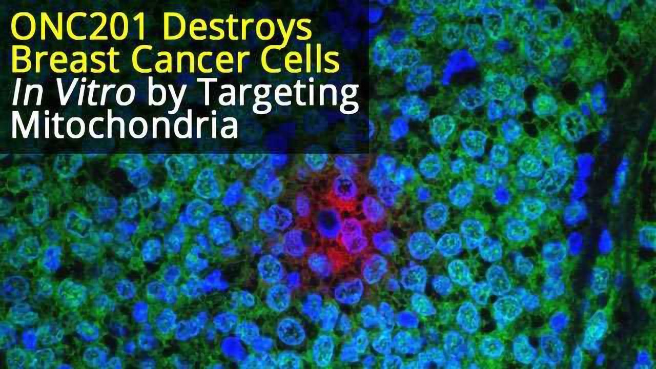 Small Molecule Drug, ONC201, Kills Breast Cancer Cells by Targeting Mitochondria