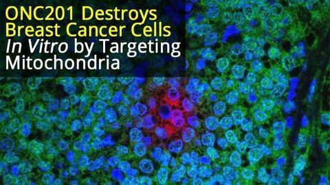 Small Molecule Drug, ONC201, Kills Breast Cancer Cells by Targeting Mitochondria