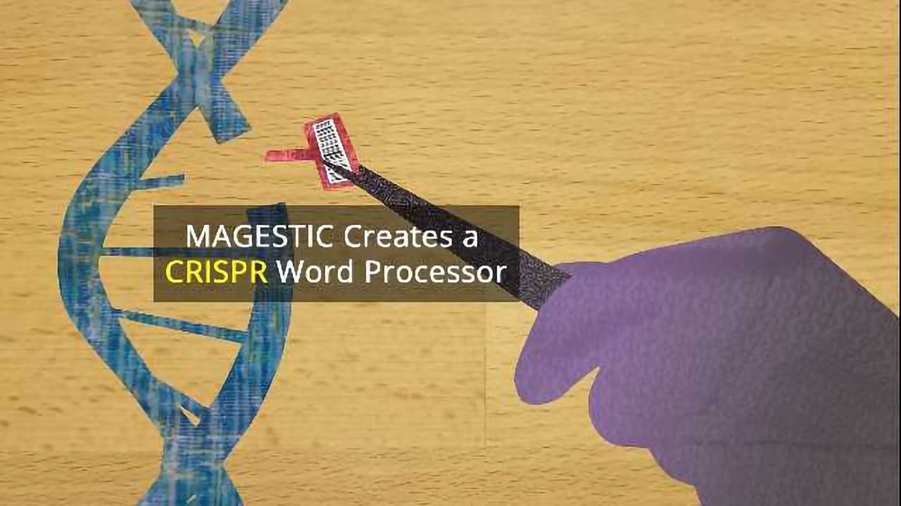 MAGESTIC Turns CRISPR's Rough Scissors into a Precision Tool